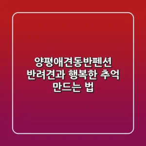 양평애견동반펜션, 반려견과 행복한 추억 만드는 법