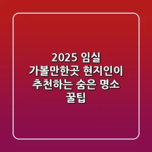 2025 임실 가볼만한곳: 현지인이 추천하는 숨은 명소 & 꿀팁