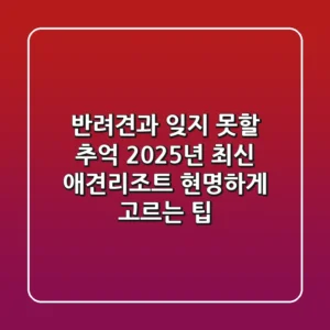 반려견과 잊지 못할 추억! 2025년 최신 애견리조트 현명하게 고르는 팁
