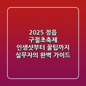 2025 정읍 구절초축제, 인생샷부터 꿀팁까지! 실무자의 완벽 가이드