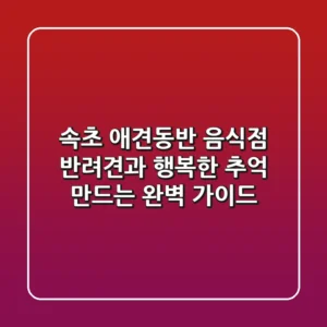 속초 애견동반 음식점, 반려견과 행복한 추억 만드는 완벽 가이드