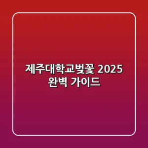 제주대학교벚꽃 2025, 완벽 가이드