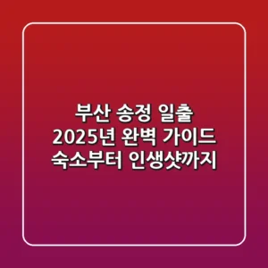부산 송정 일출, 2025년 완벽 가이드: 숙소부터 인생샷까지!