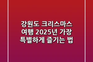 강원도 크리스마스 여행, 2025년 가장 특별하게 즐기는 법