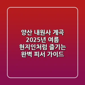 양산 내원사 계곡: 2025년 여름, 현지인처럼 즐기는 완벽 피서 가이드