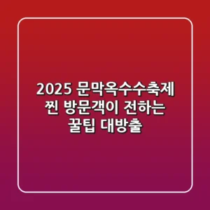 2025 문막옥수수축제, 찐 방문객이 전하는 꿀팁 대방출