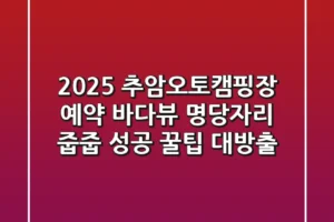 2025 추암오토캠핑장 예약, 바다뷰 명당자리 줍줍 성공 꿀팁 대방출!