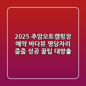 2025 추암오토캠핑장 예약, 바다뷰 명당자리 줍줍 성공 꿀팁 대방출!