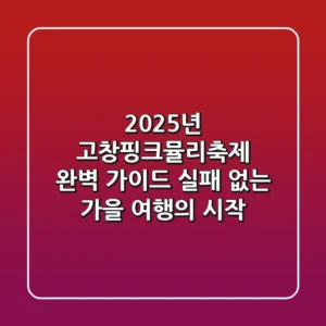 2025년 고창핑크뮬리축제 완벽 가이드: 실패 없는 가을 여행의 시작