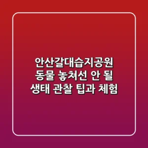 안산갈대습지공원 동물: 놓쳐선 안 될 생태 관찰 팁과 체험