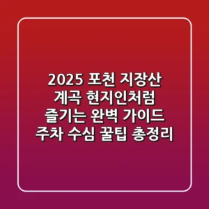 2025 포천 지장산 계곡: 현지인처럼 즐기는 완벽 가이드 (주차, 수심, 꿀팁 총정리)