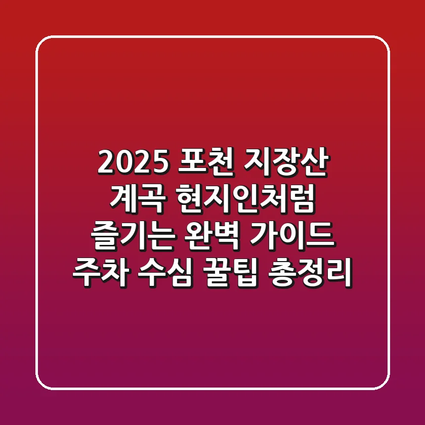 2025 포천 지장산 계곡: 현지인처럼 즐기는 완벽 가이드 (주차, 수심, 꿀팁 총정리)