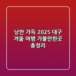 낭만 가득! 2025 대구 겨울 여행, 가볼만한곳 총정리