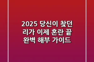 2025 당신이 찾던 ‘리가’, 이제 혼란 끝! 완벽 해부 가이드