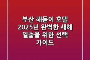 부산 해돋이 호텔, 2025년 완벽한 새해 일출을 위한 선택 가이드