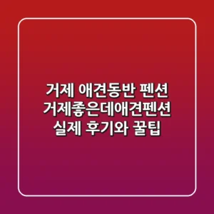 거제 애견동반 펜션, 거제좋은데애견펜션 실제 후기와 꿀팁