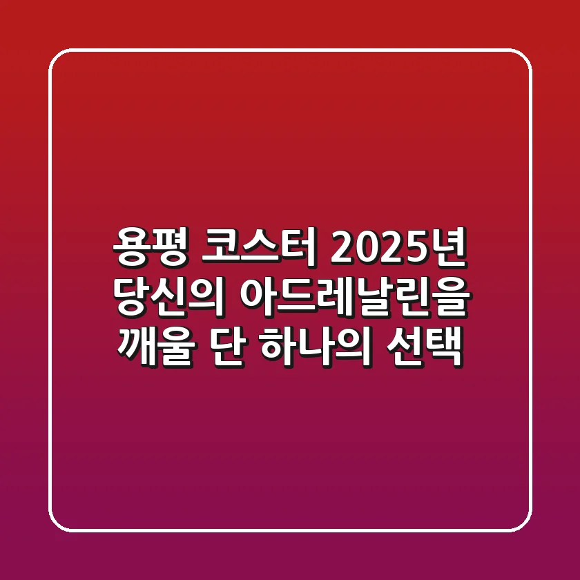 용평 코스터: 2025년 당신의 아드레날린을 깨울 단 하나의 선택