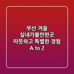 부산 겨울, 실내가볼만한곳! 따뜻하고 특별한 경험 A to Z