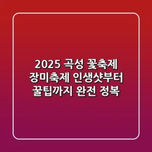 2025 곡성 꽃축제: 장미축제 인생샷부터 꿀팁까지 완전 정복!
