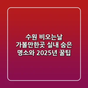 수원 비오는날 가볼만한곳, 실내 숨은 명소와 2025년 꿀팁
