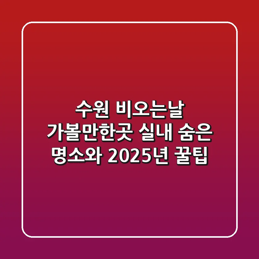 수원 비오는날 가볼만한곳, 실내 숨은 명소와 2025년 꿀팁