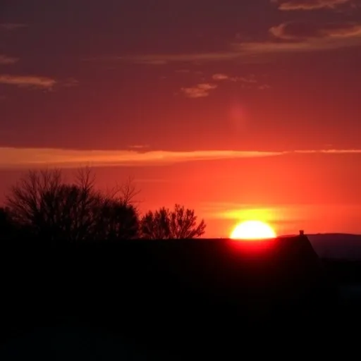 대박 조황 그 이상! 무창포 쭈꾸미 낚시 후처리 및 보관 완벽 가이드