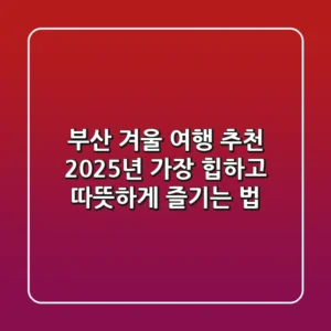 부산 겨울 여행 추천, 2025년 가장 '힙'하고 따뜻하게 즐기는 법!