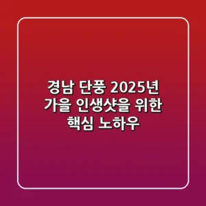 경남 단풍, 2025년 가을 인생샷을 위한 핵심 노하우
