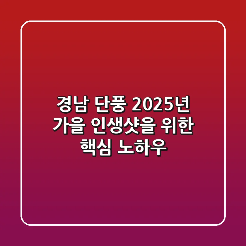 경남 단풍, 2025년 가을 인생샷을 위한 핵심 노하우