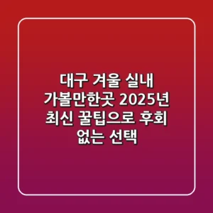 대구 겨울 실내 가볼만한곳, 2025년 최신 꿀팁으로 후회 없는 선택