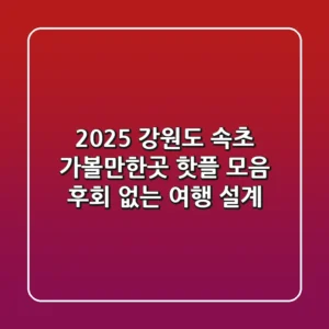 2025 강원도 속초 가볼만한곳 핫플 모음: 후회 없는 여행 설계