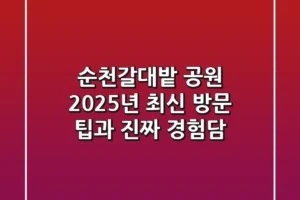 순천갈대밭 공원, 2025년 최신 방문 팁과 진짜 경험담