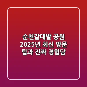 순천갈대밭 공원, 2025년 최신 방문 팁과 진짜 경험담