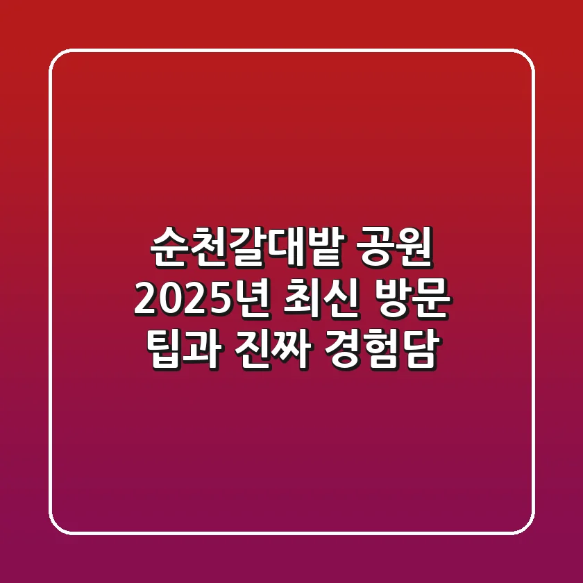순천갈대밭 공원, 2025년 최신 방문 팁과 진짜 경험담