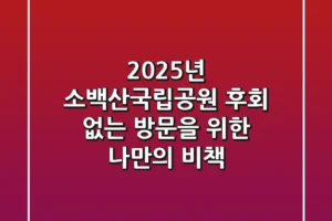 2025년 소백산국립공원, 후회 없는 방문을 위한 나만의 비책