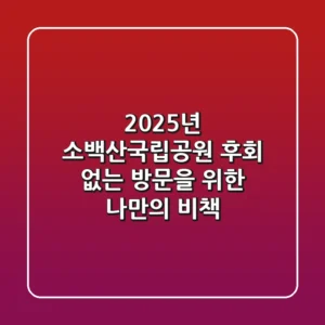 2025년 소백산국립공원, 후회 없는 방문을 위한 나만의 비책
