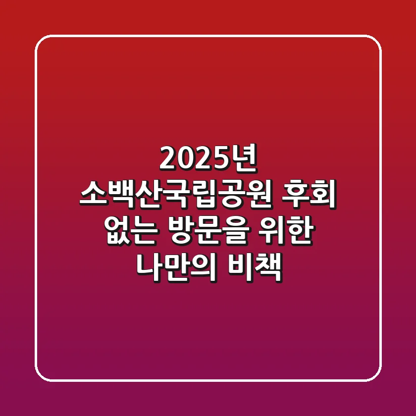 2025년 소백산국립공원, 후회 없는 방문을 위한 나만의 비책