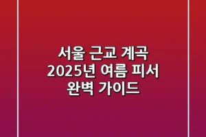 서울 근교 계곡, 2025년 여름 피서 완벽 가이드!