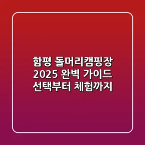 함평 돌머리캠핑장 2025 완벽 가이드: 선택부터 체험까지