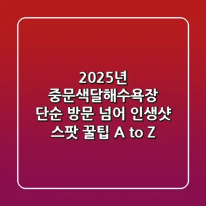 2025년 중문색달해수욕장, 단순 방문 넘어 인생샷 스팟 & 꿀팁 A to Z