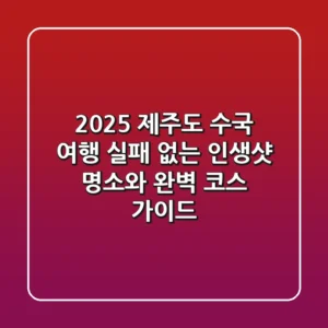 2025 제주도 수국 여행, 실패 없는 인생샷 명소와 완벽 코스 가이드