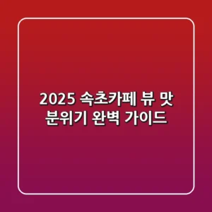 2025 속초카페: 뷰, 맛, 분위기 완벽 가이드