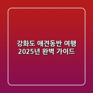 강화도 애견동반 여행, 2025년 완벽 가이드