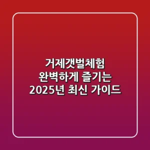 거제갯벌체험, 완벽하게 즐기는 2025년 최신 가이드