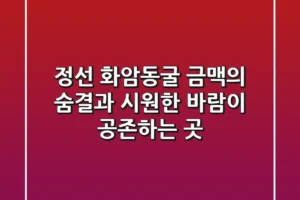 정선 화암동굴, 금맥의 숨결과 시원한 바람이 공존하는 곳!