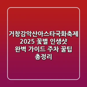 거창감악산아스타국화축제 2025: 꽃&별 인생샷 완벽 가이드 (주차, 꿀팁 총정리)