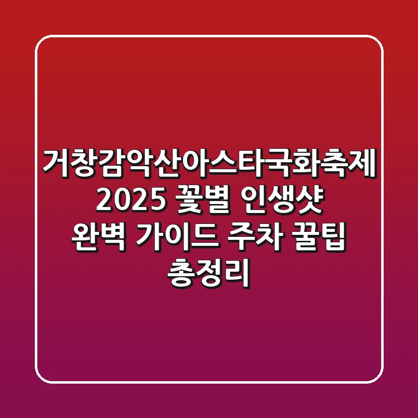 거창감악산아스타국화축제 2025: 꽃&별 인생샷 완벽 가이드 (주차, 꿀팁 총정리)