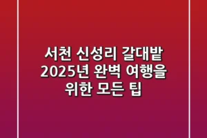 서천 신성리 갈대밭: 2025년 완벽 여행을 위한 모든 팁