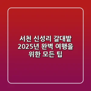 서천 신성리 갈대밭: 2025년 완벽 여행을 위한 모든 팁