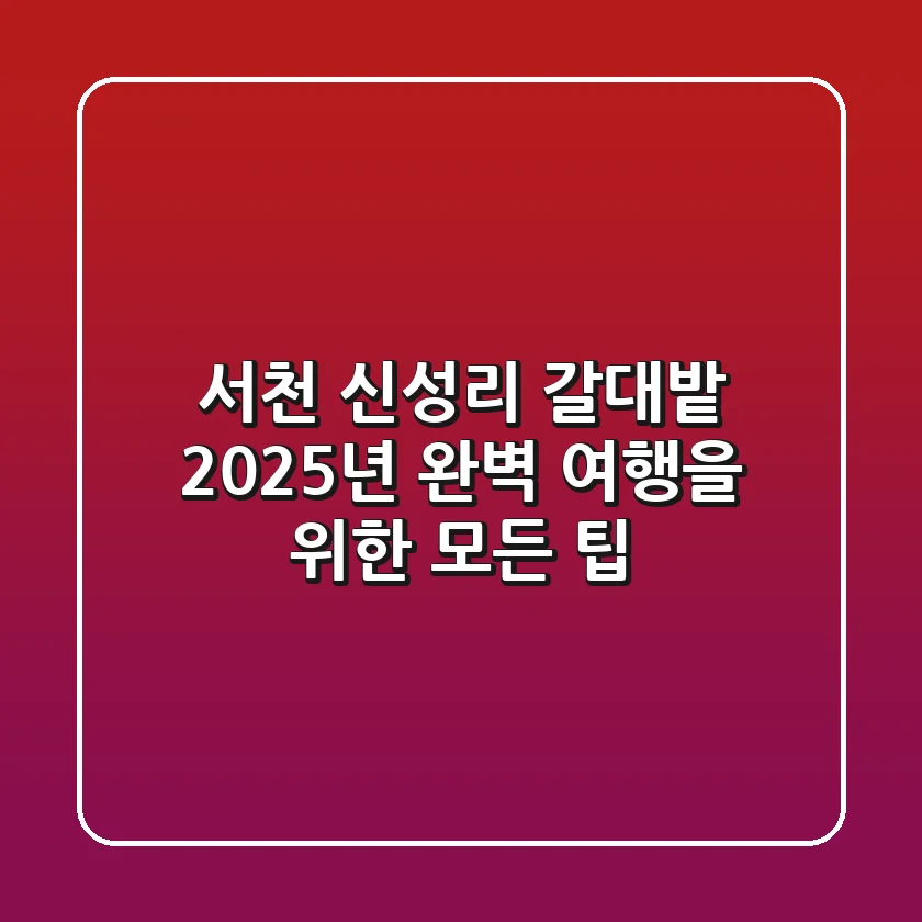 서천 신성리 갈대밭: 2025년 완벽 여행을 위한 모든 팁